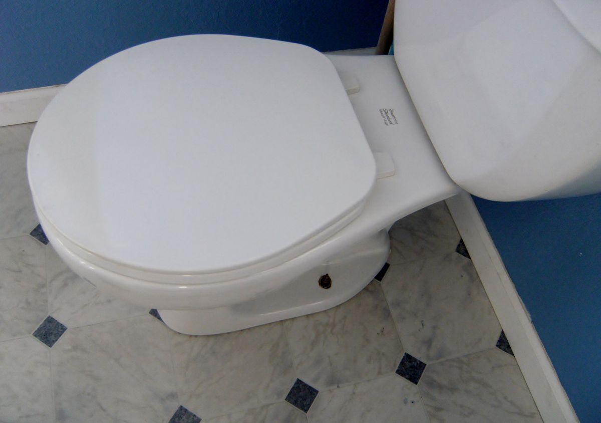 What to Do if Your Toilet Smells Like Urine Even When It's Clean