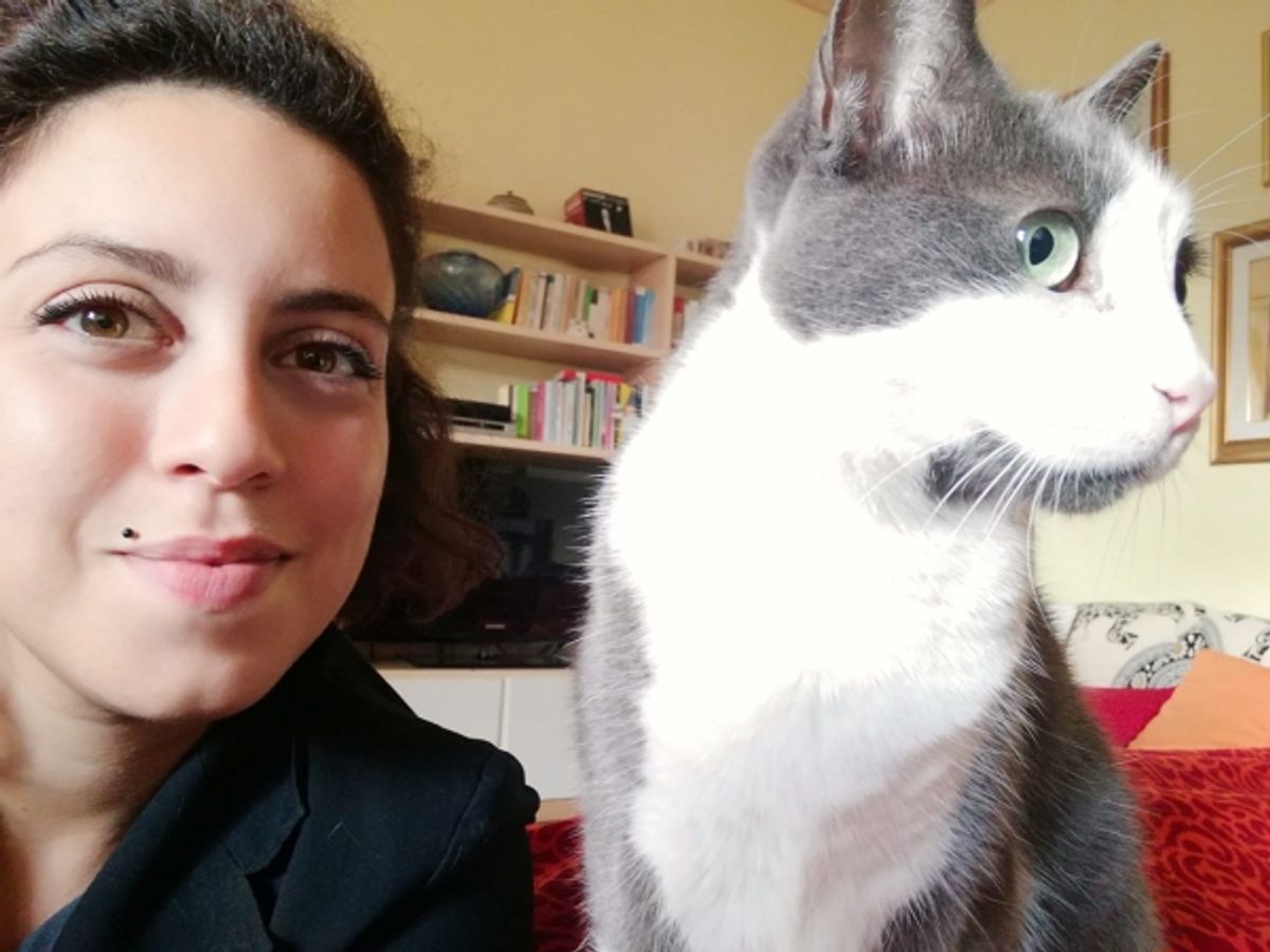 Award-Winning Cat Sitting Services to Trust with Your Furry Pals