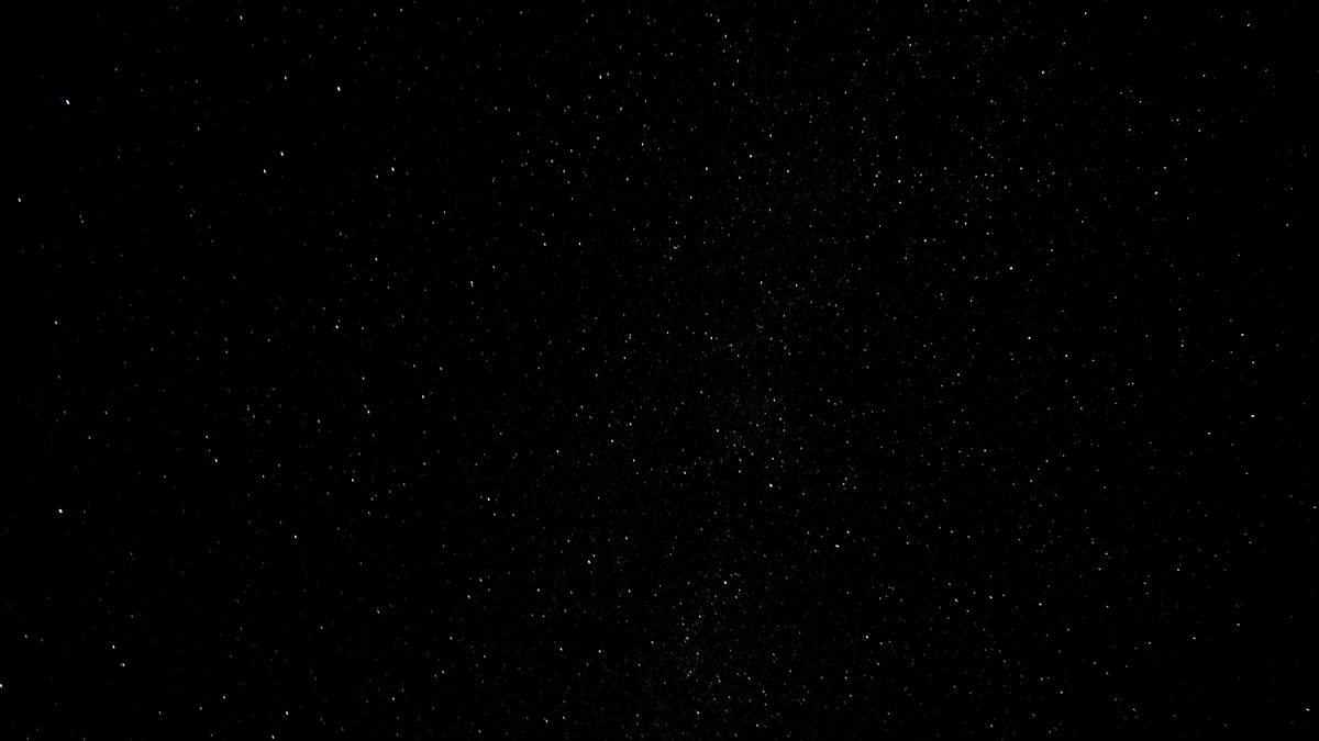 What Cat Breed Is Lucifer from Cinderella? Exploring Feline Characters