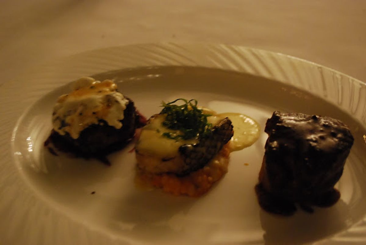 Taste of the Wild Cat Food Review: A Deep Dive