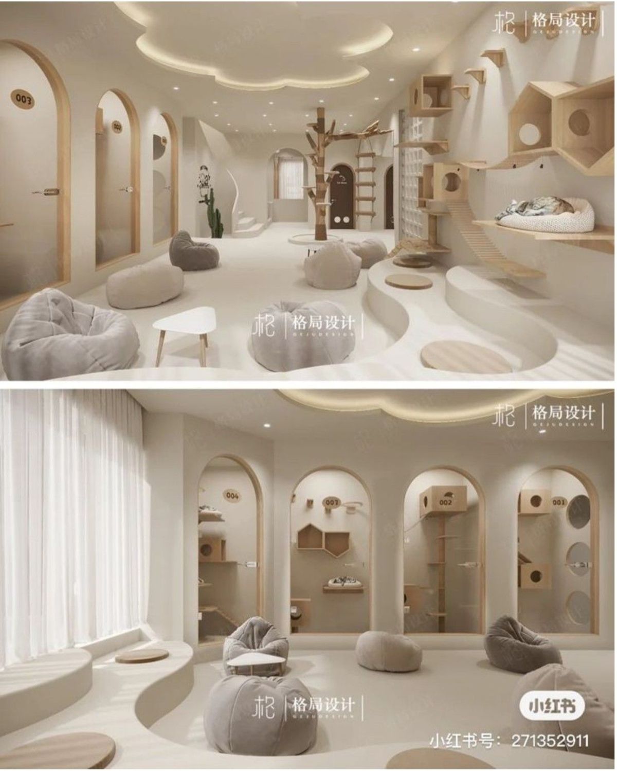 Pampered Paws: Finding the Purr-fect Kitty Hotel Close to Home