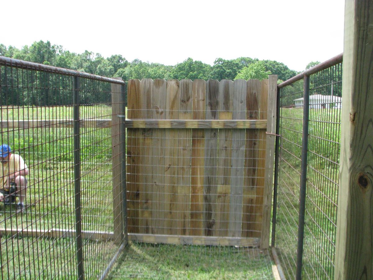 Finding the Best Priced Cat Kennels Near You: Tips and Tricks