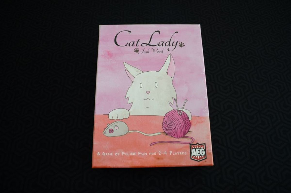 5 Convenient Locations to Board Your Cat Nearby