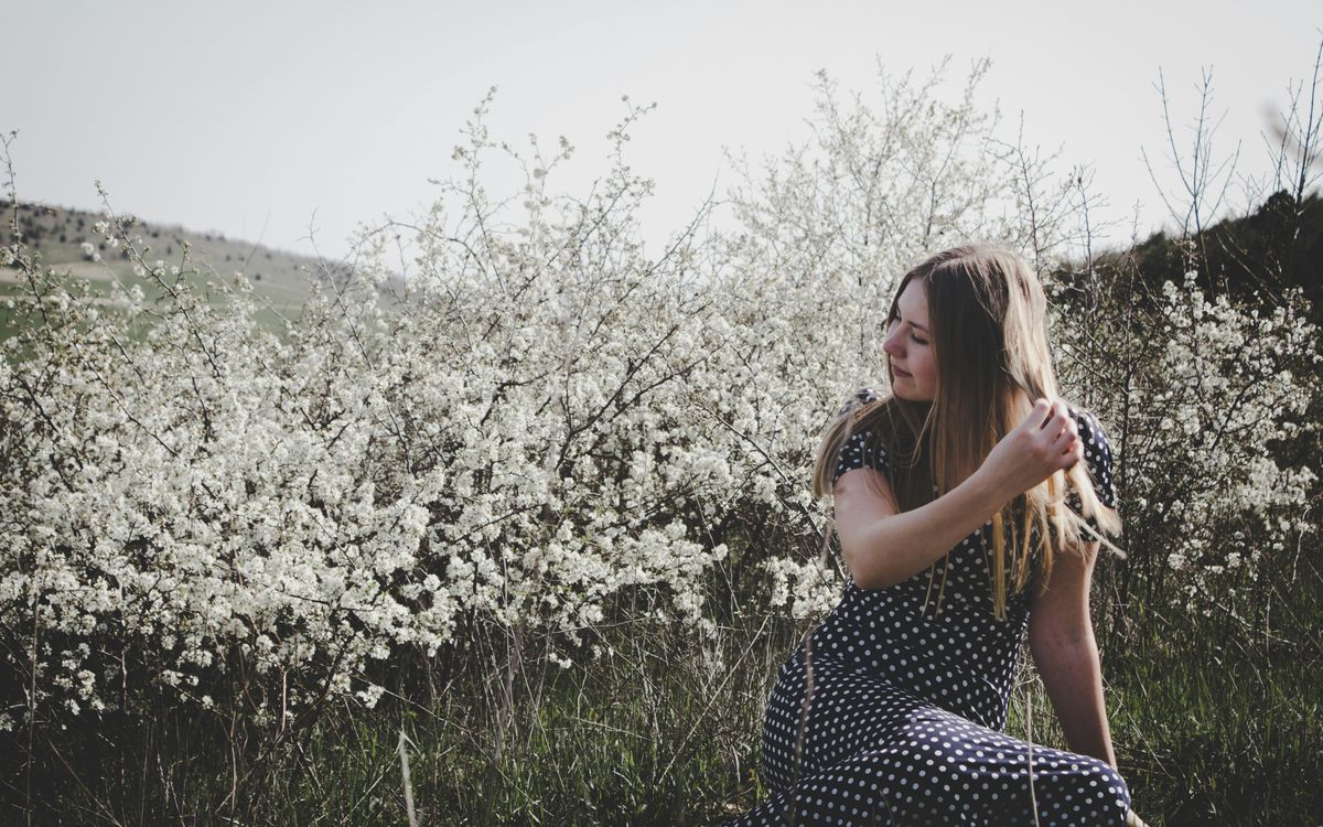 Duchess from Aristocats: Uncovering Her Breed