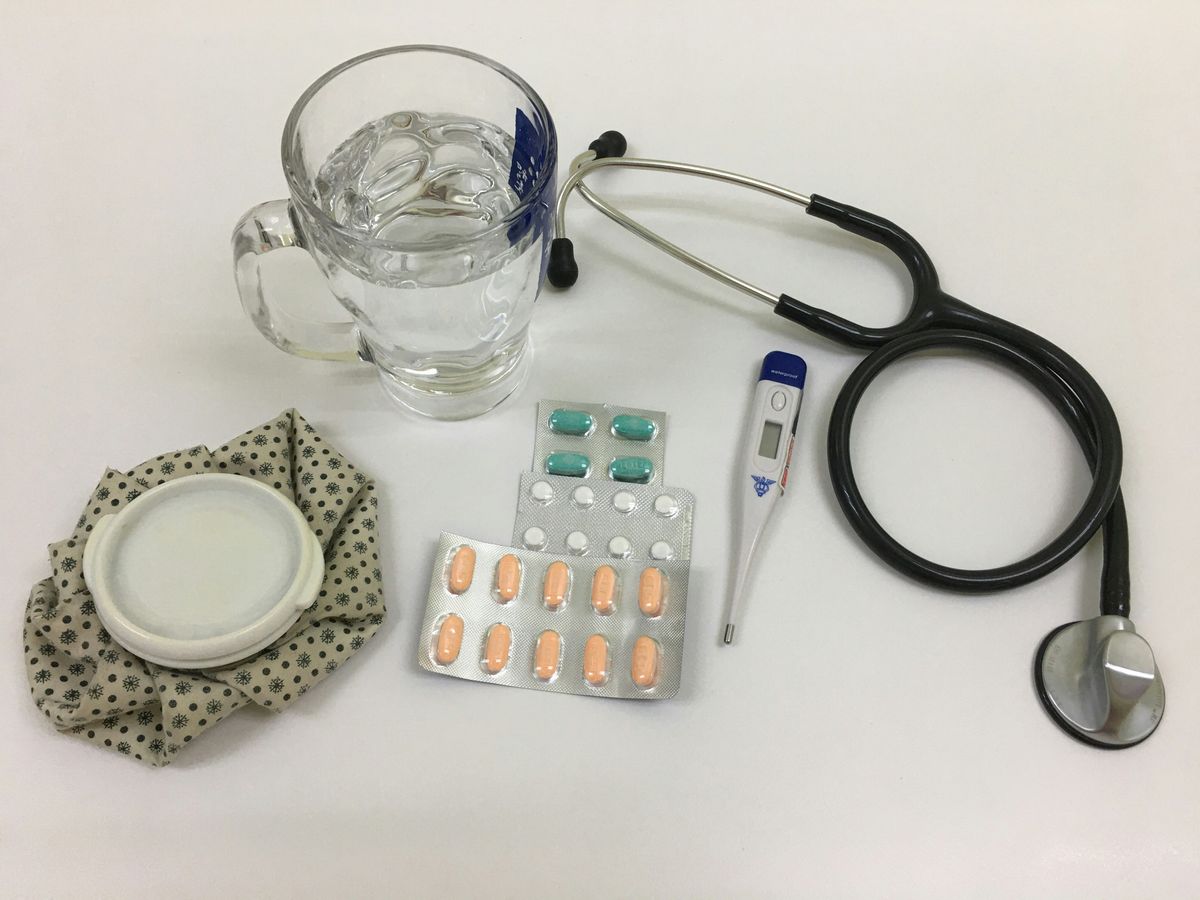Can Cats Get Colds? Understanding Feline Respiratory Illnesses