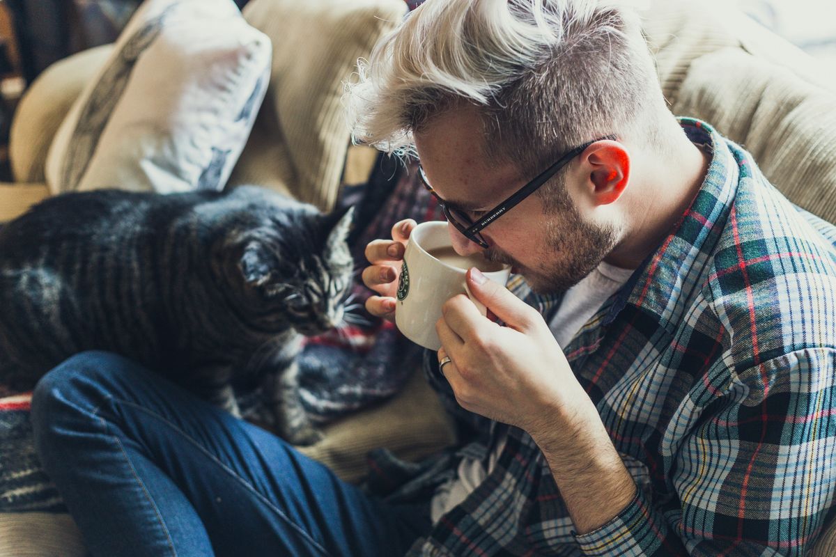 Sudden Affection in Cats: What It Means and Why It Happens