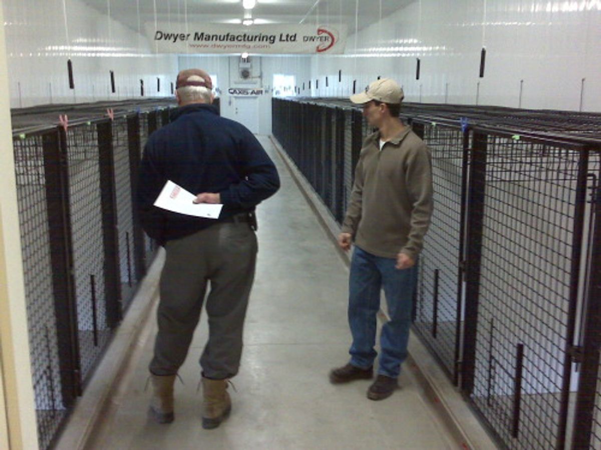 5 Affordable Cat Boarding Options In Your Area