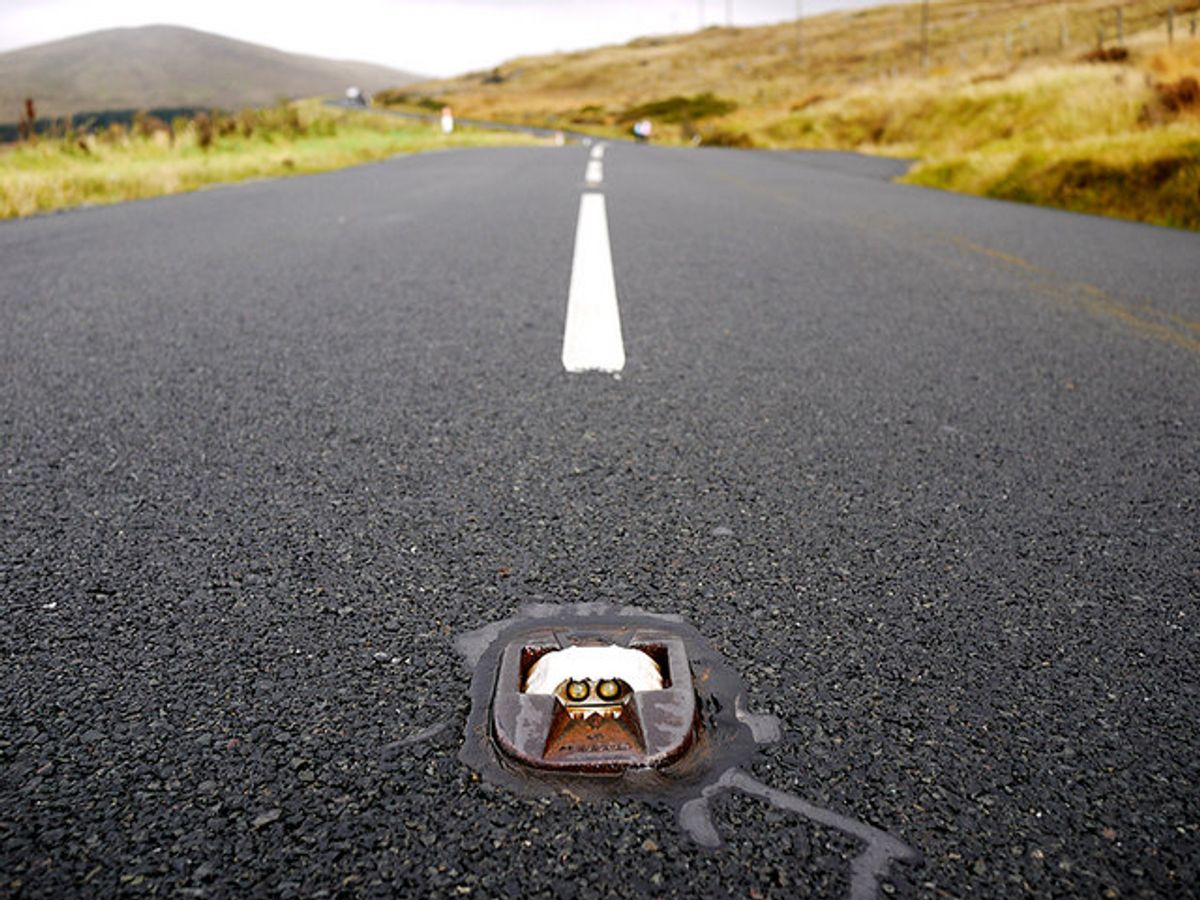 10 Reasons Why The Cat Hotel Is The Purrfect Getaway For Your Feline