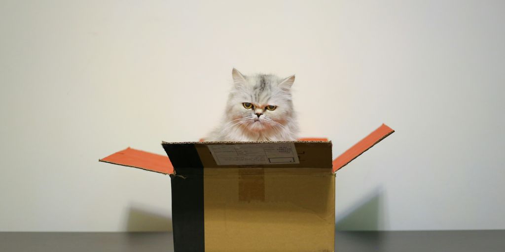 brown cardboard box on white table