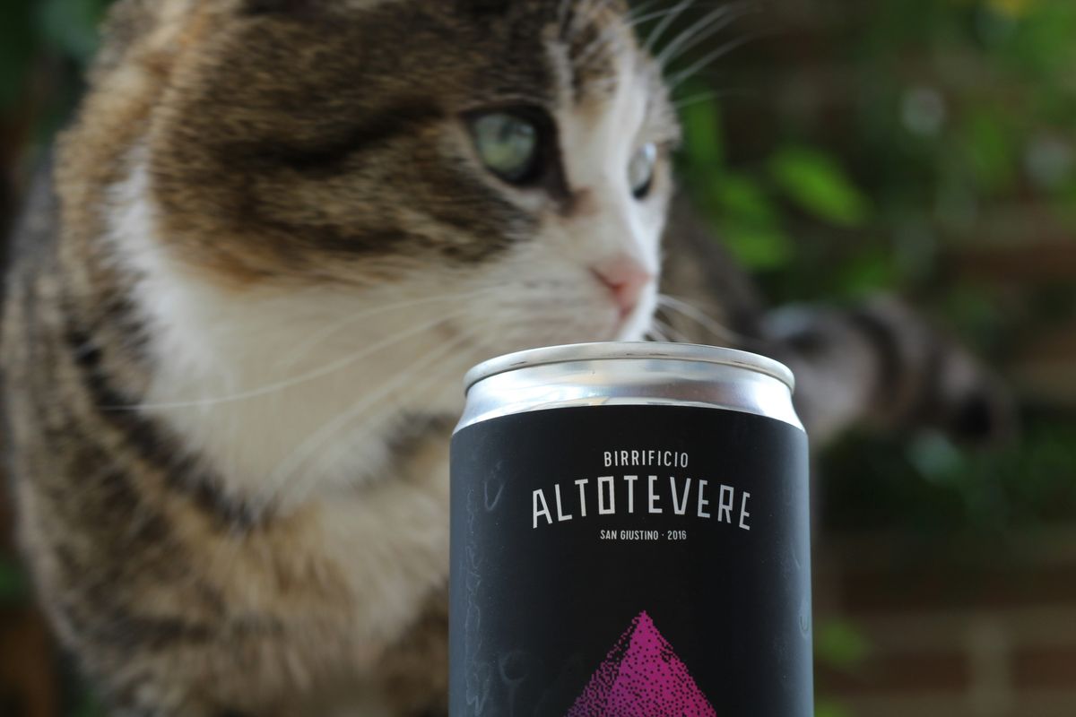 Cheers to Feline Names: Alcohol-Inspired Monikers