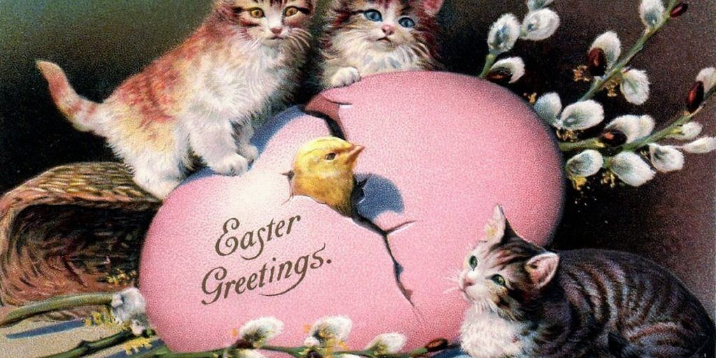 cat cattery with happy cats in a cozy environment