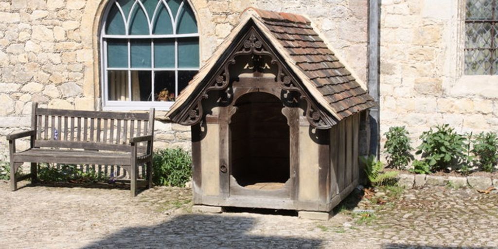 luxurious cat kennel with comfortable bedding and playful environment