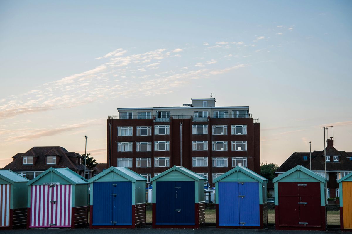 National Feed a Pet Rescue Week: How You Can Help