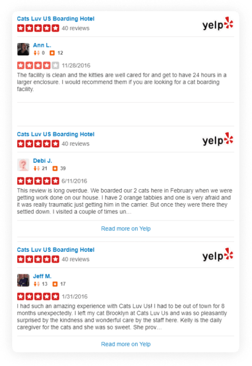 Our Five Star Rated cat sitter’s are waiting to spoil your cat with love and personal attention to their needs.