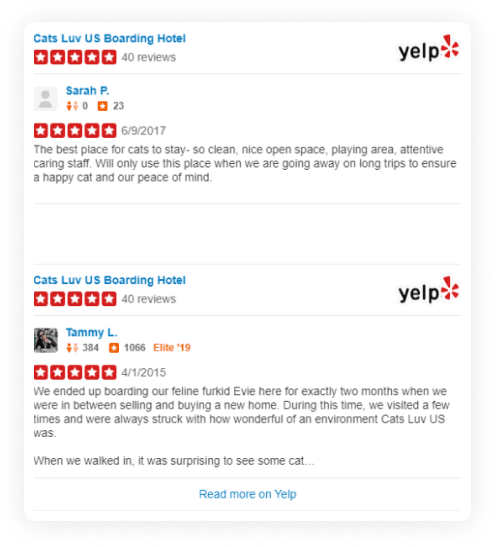 Our Five Star Rated cat sitter’s are waiting to spoil your cat with love and personal attention to their needs.