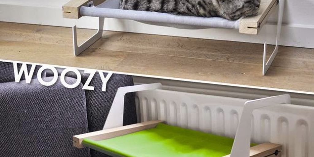 cat relaxing in a cozy pet boarding facility