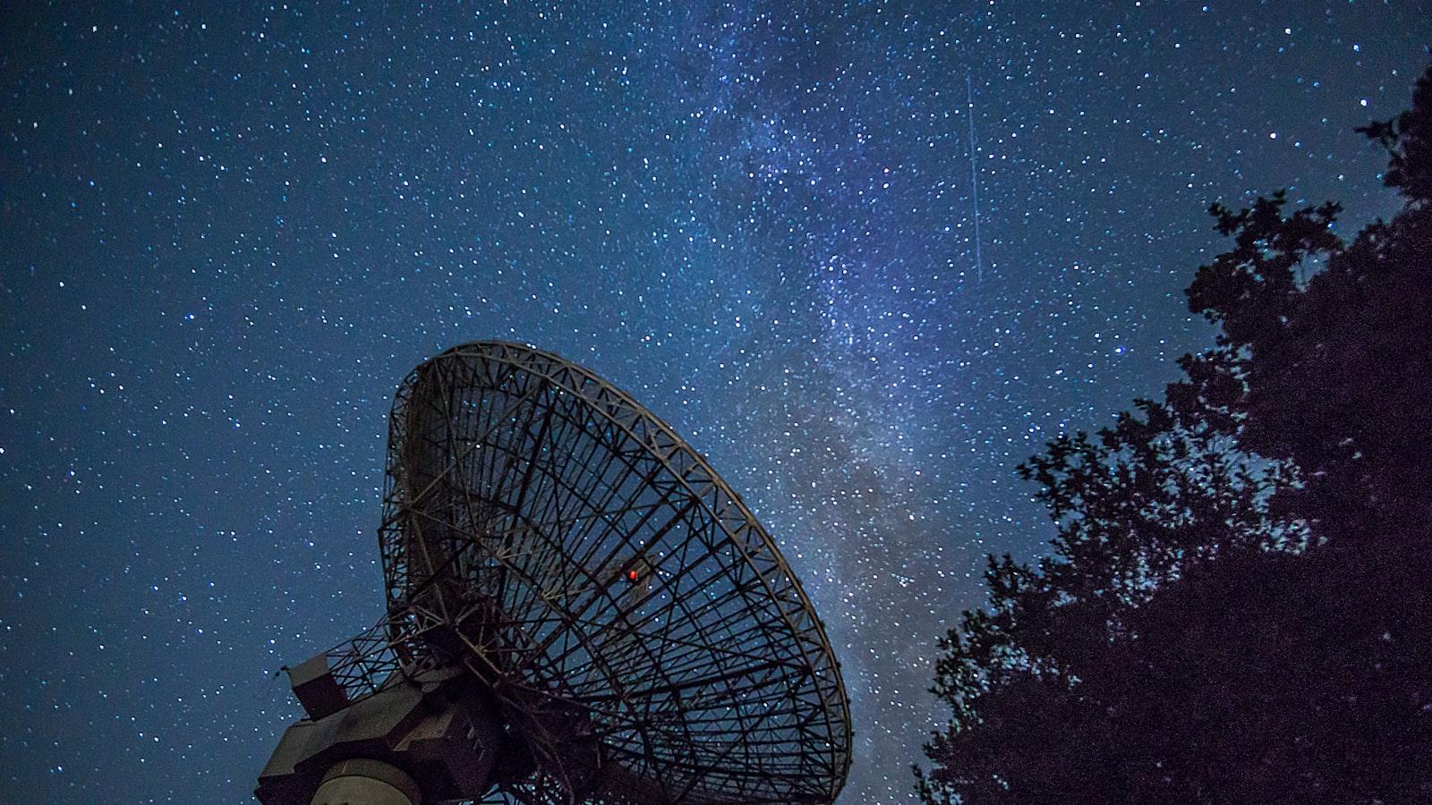 The Science Behind Feline Attraction to​ Honey