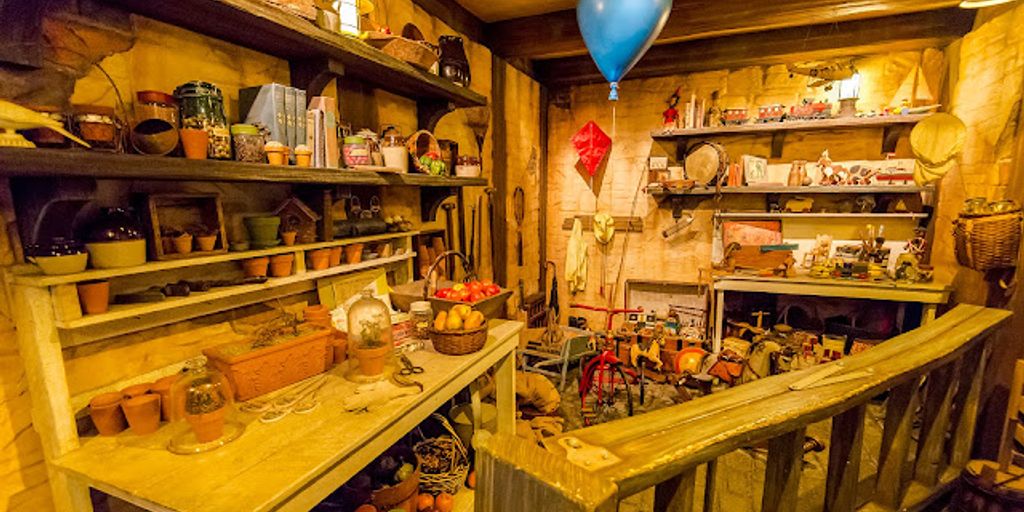 happy cat in a cozy boarding facility