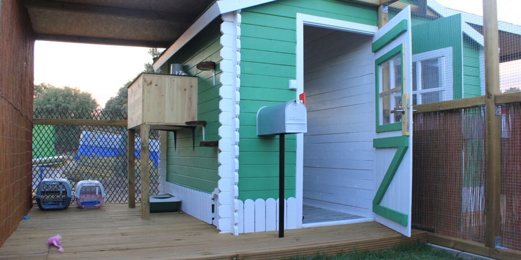 cat boarding facility