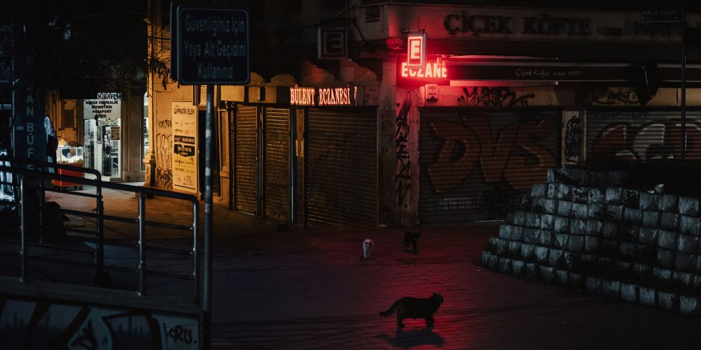 a dog is standing in the middle of a street at night