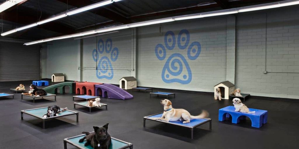 cat boarding facility