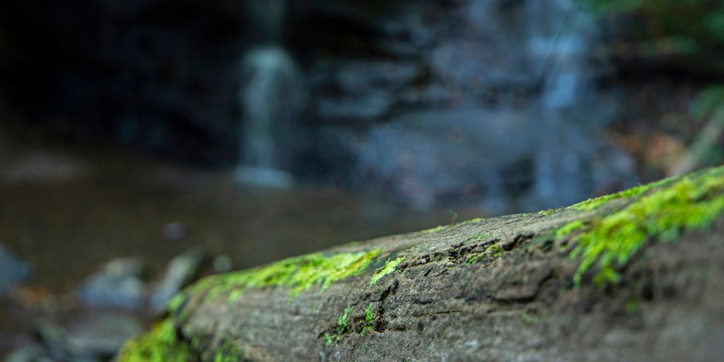 a moss covered rock with a waterfall in the background