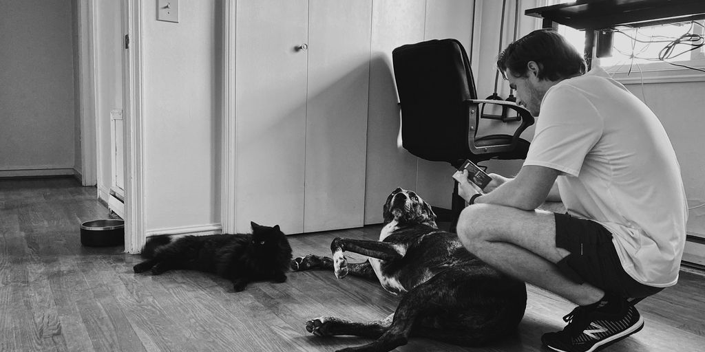 man in white t-shirt sitting beside black short coated dog