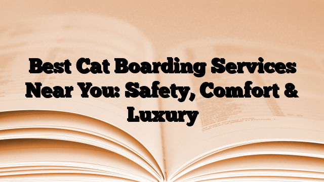 Best Cat Boarding Services Near You: Safety, Comfort & Luxury