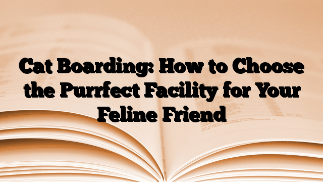 Cat Boarding: How to Choose the Purrfect Facility for Your Feline Friend
