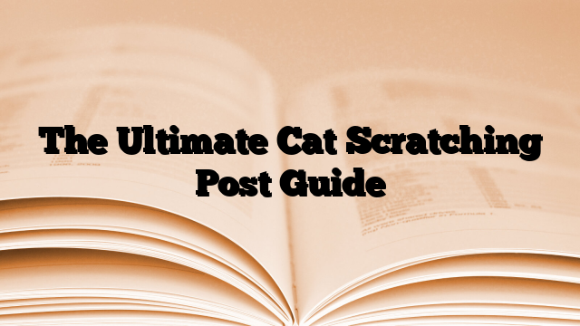The Ultimate Cat Scratching Post Guide