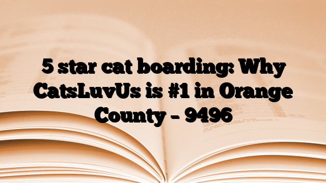 5 star cat boarding: Why CatsLuvUs is #1 in Orange County – 9496