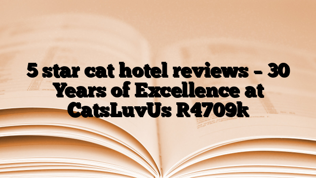 5 star cat hotel reviews – 30 Years of Excellence at CatsLuvUs [4709]