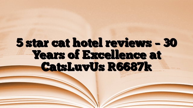 5 star cat hotel reviews – 30 Years of Excellence at CatsLuvUs [6687]