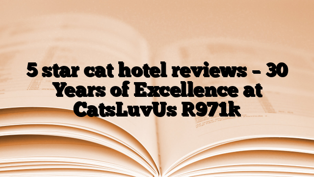 5 star cat hotel reviews – 30 Years of Excellence at CatsLuvUs [971]