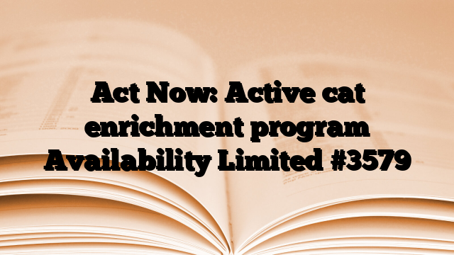 Act Now: Active cat enrichment program Availability Limited #3579