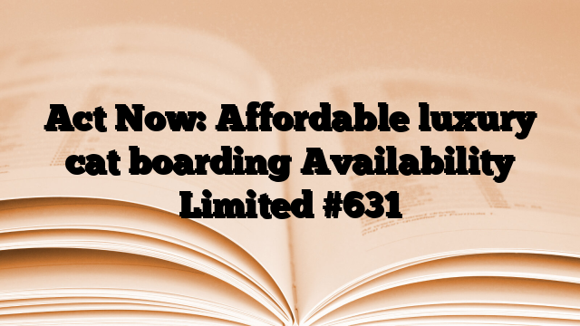 Act Now: Affordable luxury cat boarding Availability Limited