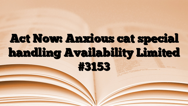 Act Now: Anxious cat special handling Availability Limited