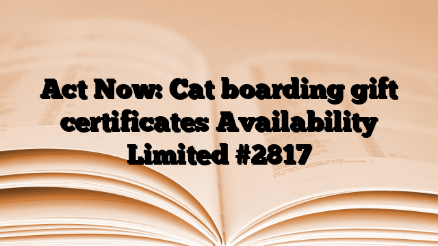 Act Now: Cat boarding gift certificates Availability Limited