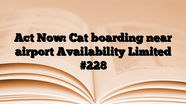 Act Now: Cat boarding near airport Availability Limited