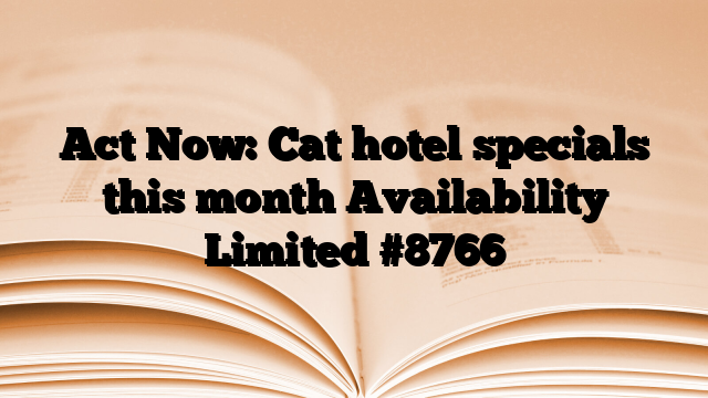 Act Now: Cat hotel specials this month Availability Limited