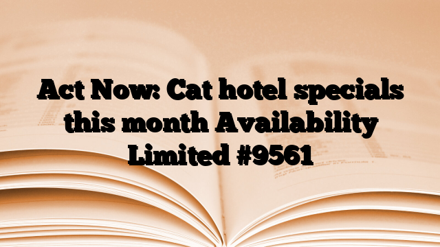 Act Now: Cat hotel specials this month Availability Limited