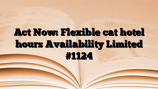 Act Now: Flexible cat hotel hours Availability Limited