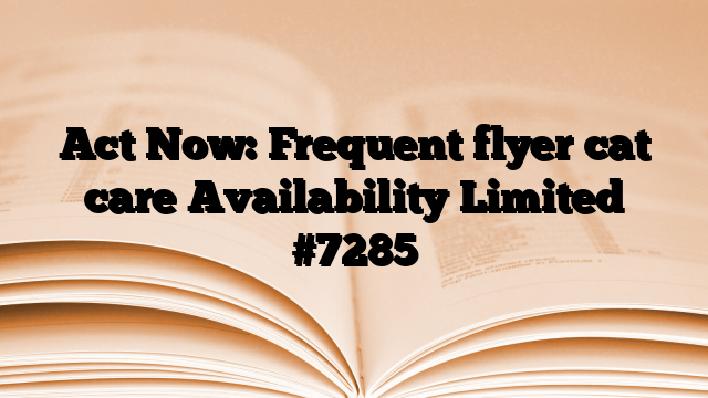 Act Now: Frequent flyer cat care Availability Limited