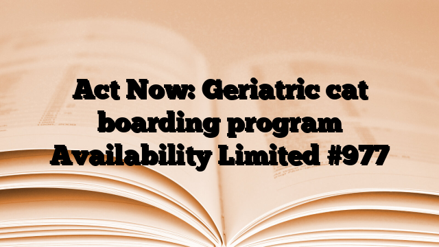 Act Now: Geriatric cat boarding program Availability Limited