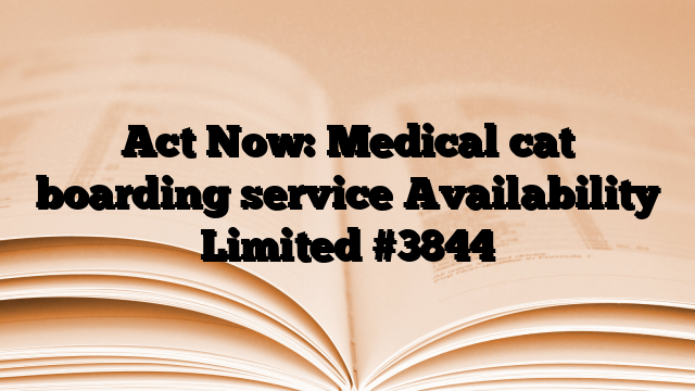 Act Now: Medical cat boarding service Availability Limited