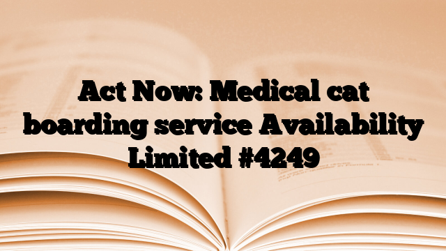 Act Now: Medical cat boarding service Availability Limited