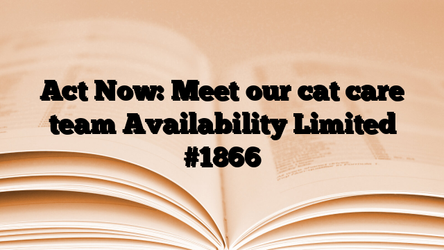 Act Now: Meet our cat care team Availability Limited
