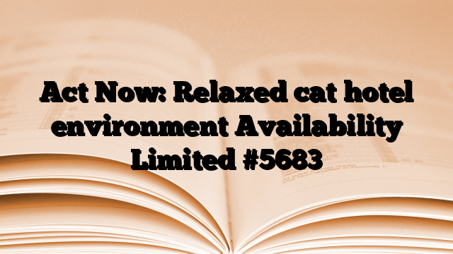 Act Now: Relaxed cat hotel environment Availability Limited
