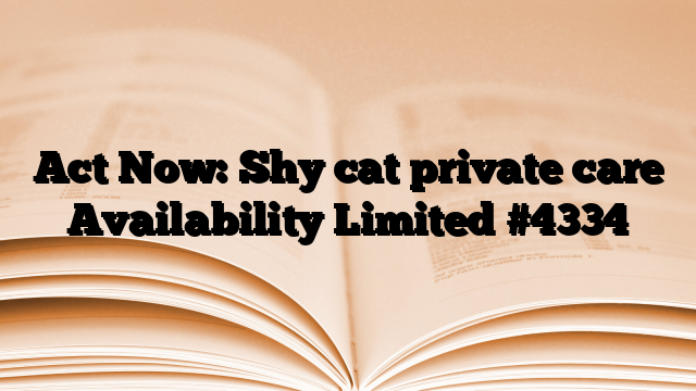 Act Now: Shy cat private care Availability Limited