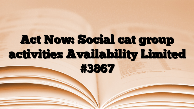 Act Now: Social cat group activities Availability Limited